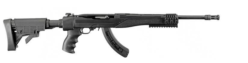 Ruger Ruger 1022Tactical : 1287