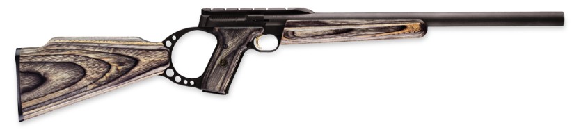 Browning Browning Buck Mark FLD Target Gray Laminate Lite Rifle