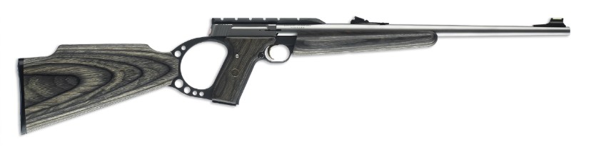 Browning Browning Buck Mark Rifle Stainless Grey Laminate, Sporter