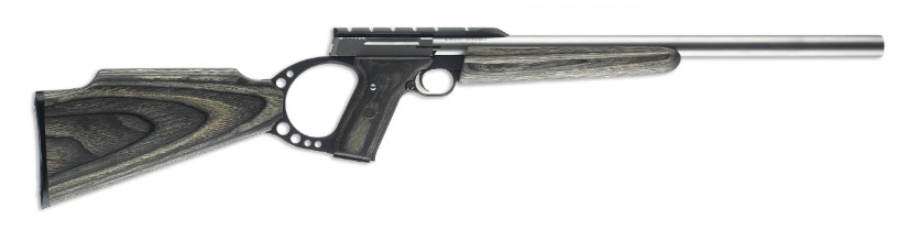 Browning Browning Buck Mark Rifle Stainless Grey Laminate, Target